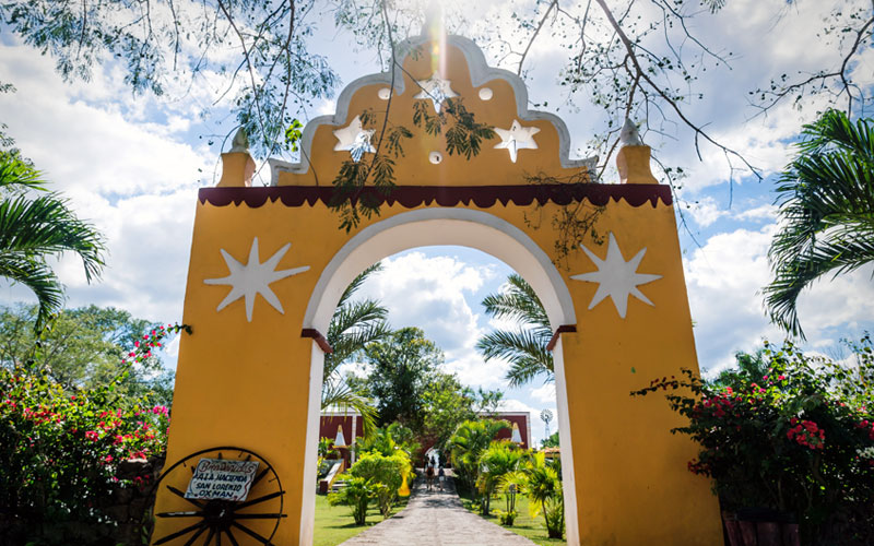 Vista del cenote Oxmán