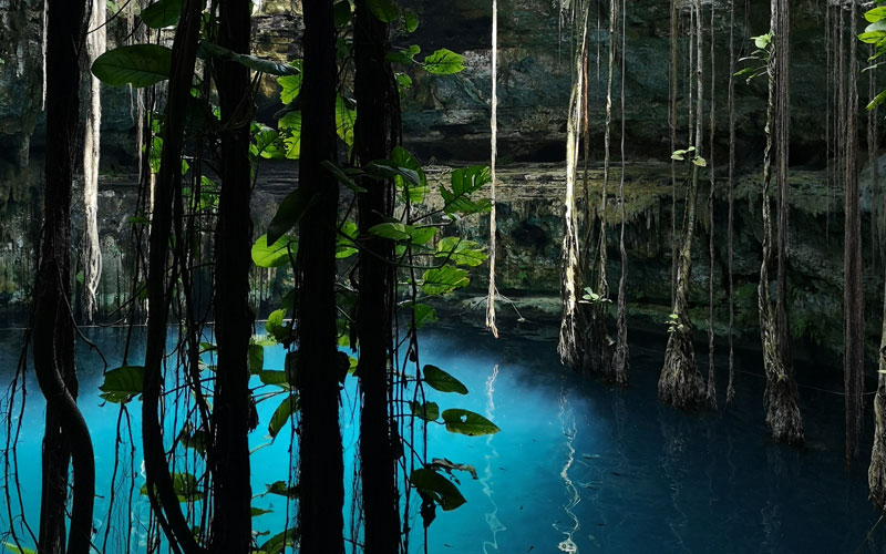 Visita el cenote Oxmán rentandoun auto con Avis