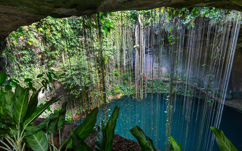 Zací en Valladolid en auto con Avis