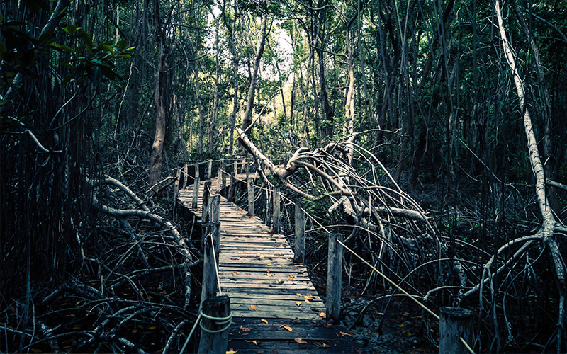 Visita las coloradas en Yucatán y renta un auto con Avis