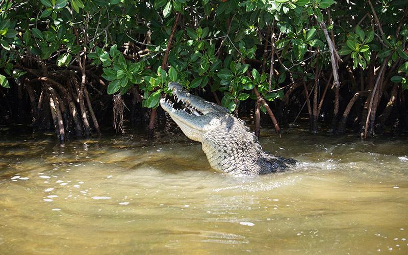 Roadtrip por la costa maya