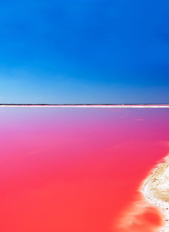 Las Coloradas y Río lagartos