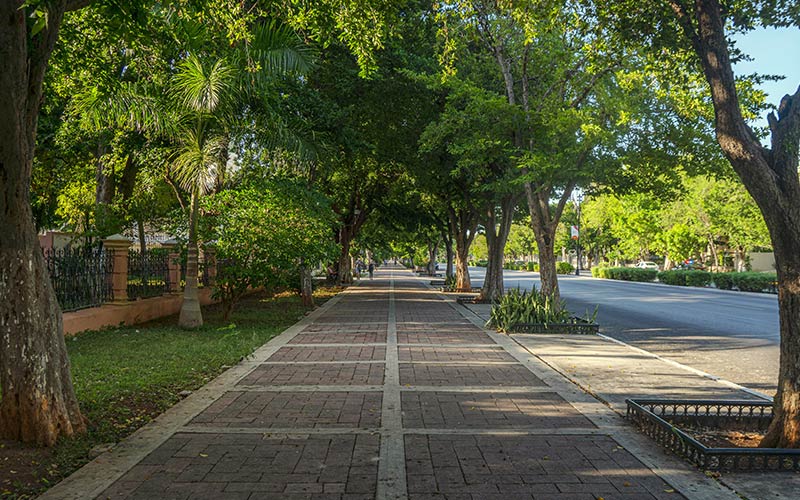 Visita Chichen Itzá rentando un auto con Avis